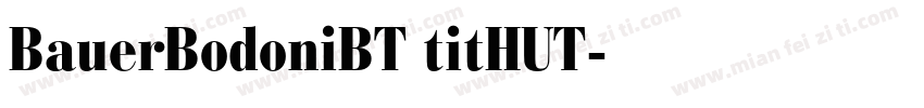 BauerBodoniBT titHUT字体转换